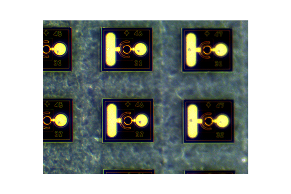 10Gbps PIN PD・APD ベアチップ InGaAs/InP