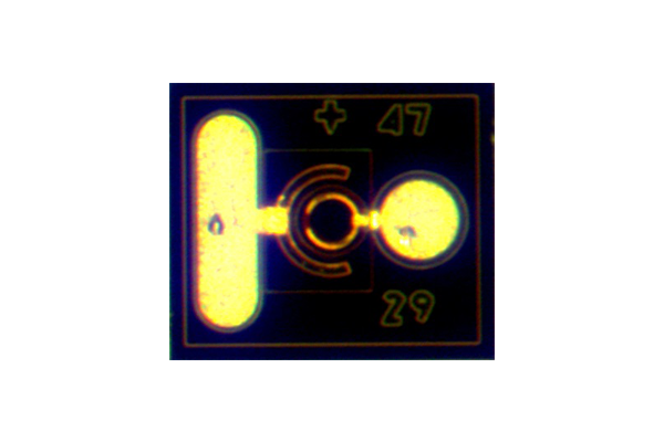 10Gbps PIN PD・APD ベアチップ InGaAs/InP