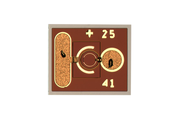 10Gbps PIN PD・APD ベアチップ InGaAs/InP