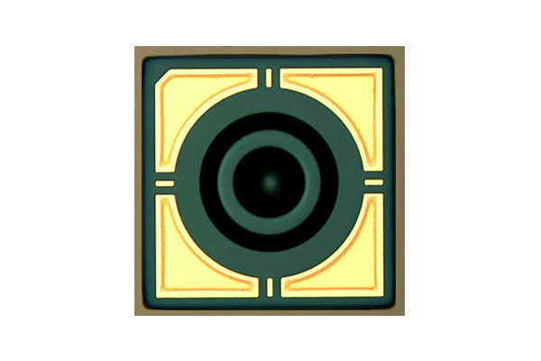 25Gbps PIN PD ベアチップ  InGaAs/InP